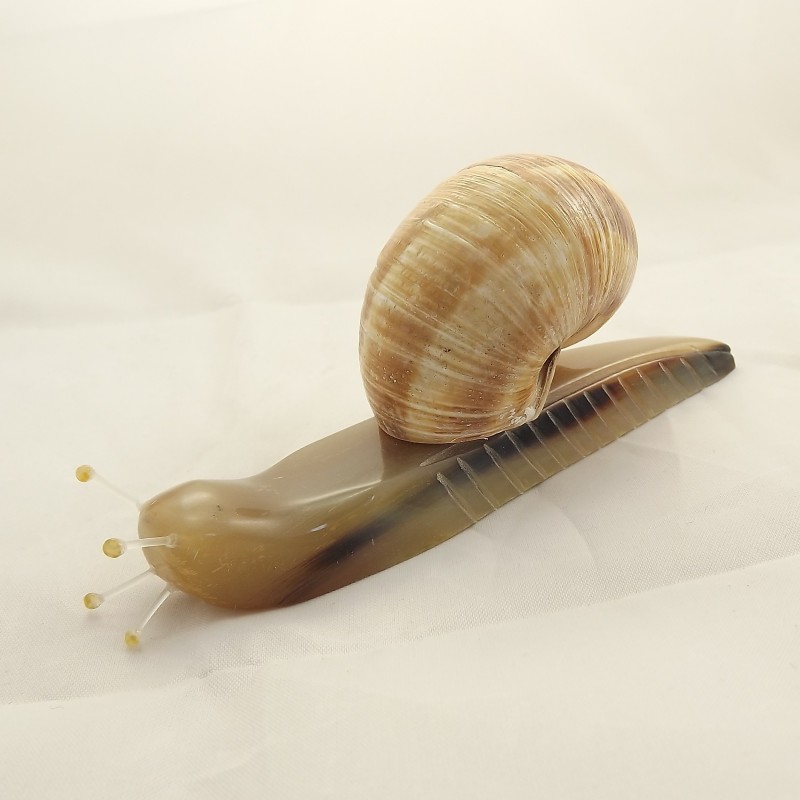 Escargot décoratif en corne I Découvrez les peignes en corne fabriqués en  France